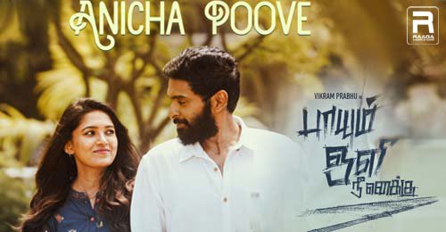 Paayum Oli Nee Yenakku (2023) - Movie, Review, OTT Release, Trailer